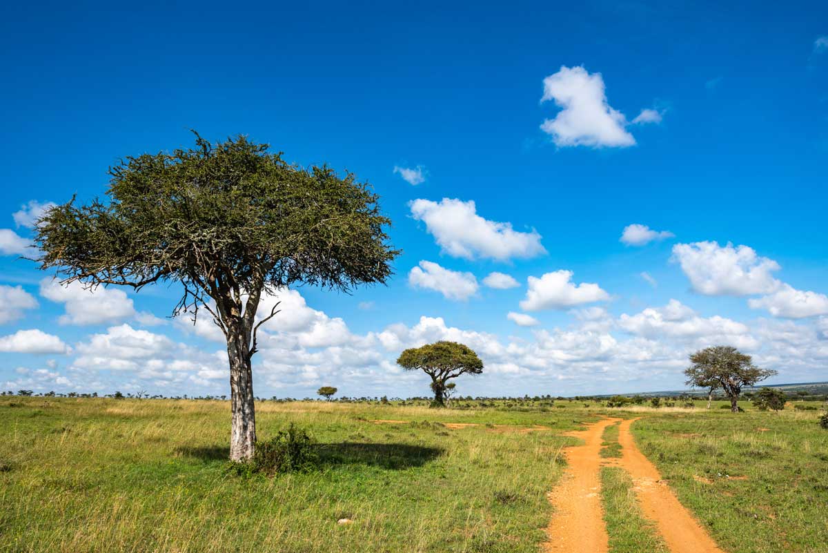 Camping avec tente de toit en Afrique